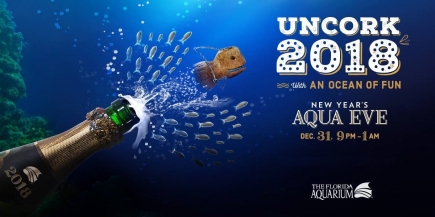 2-4-1 VIP Tickets to Aqua Eve at the Florida Aquarium