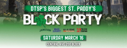 50% Off All-Day VIP Pass to DTSP Block Party