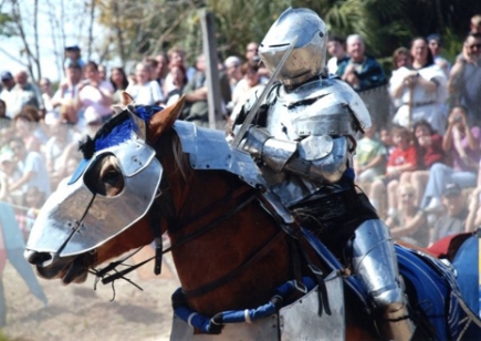 Only $9.50 for one Admission to the Bay Area Renaissance Festival at MOSI