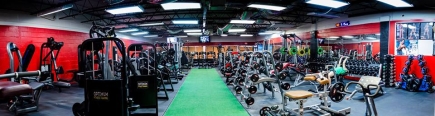 Three (3) 30 Minute Personal Training Sessions at Optimum Gym Tampa 
