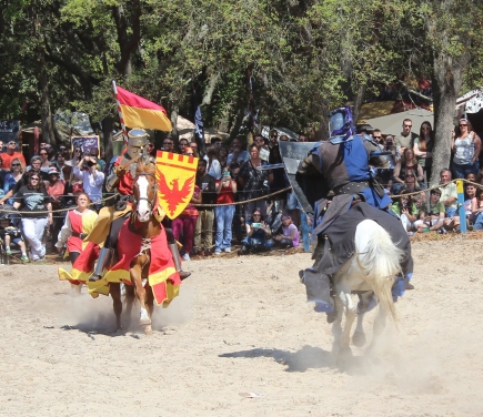 52% off Admission to the Bay Area Renaissance Festival 2020