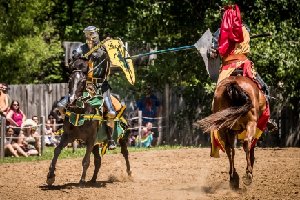 $11.50 for admission to the Bay Area Renaissance Festival 2021