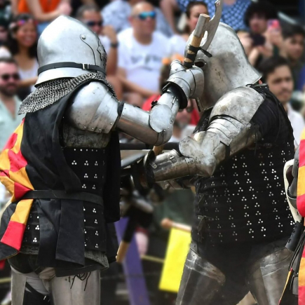 50% Off General Admission to the Bay Area Renaissance Festival 2024